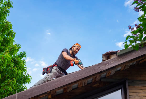 Best Asphalt Shingle Roofing  in White Knoll, SC